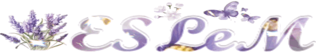 ESLEM